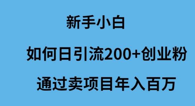 新手小白如何日引流200+创业粉通过卖项目年入百万-智宝网创