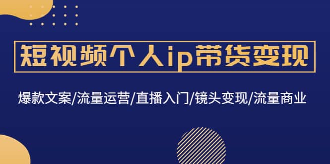 短视频个人ip带货变现：爆款文案/流量运营/直播入门/镜头变现/流量商业-智宝网创