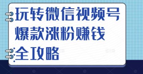 玩转微信视频号爆款涨粉赚钱全攻略，让你快速抓住流量风口，收获红利财富-智宝网创
