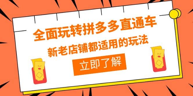 全面玩转拼多多直通车，新老店铺都适用的玩法（12节精华课）-智宝网创