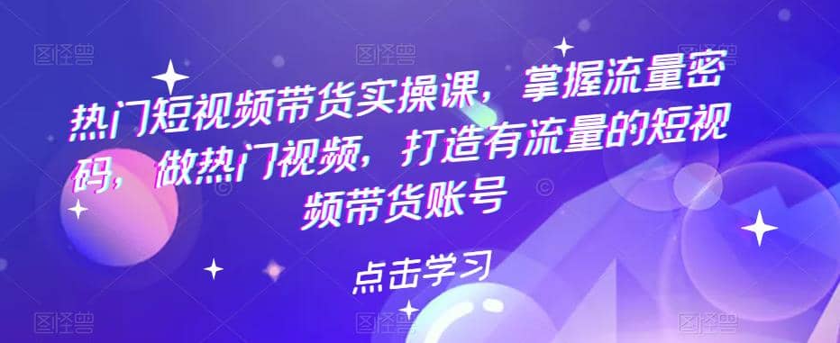 热门短视频带货实战 掌握流量密码 做热门视频 打造有流量的短视频带货账号-智宝网创