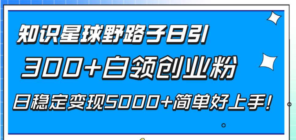 知识星球野路子日引300+白领创业粉，日稳定变现5000+简单好上手！-智宝网创
