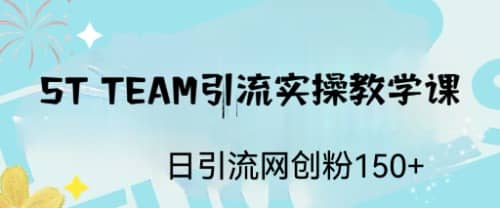 ST TEAM引流实操课，日引流网创粉100+-智宝网创