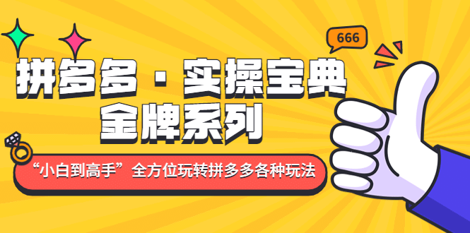 拼多多·实操宝典：金牌系列“小白到高手”带你全方位玩转拼多多各种玩法-智宝网创