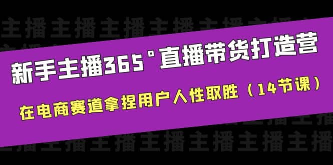 新手主播365°直播带货·打造营，在电商赛道拿捏用户人性取胜（14节课）-智宝网创