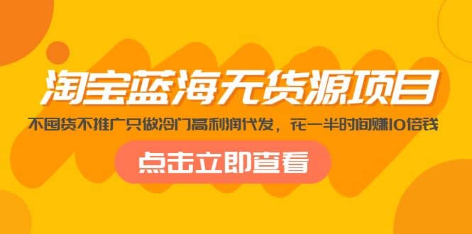 淘宝蓝海无货源项目，不囤货不推广只做冷门高利润代发-智宝网创