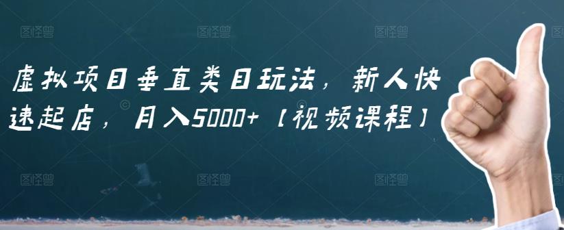 虚拟项目垂直类目玩法，新人快速起店，月入5000+【视频课程】-智宝网创