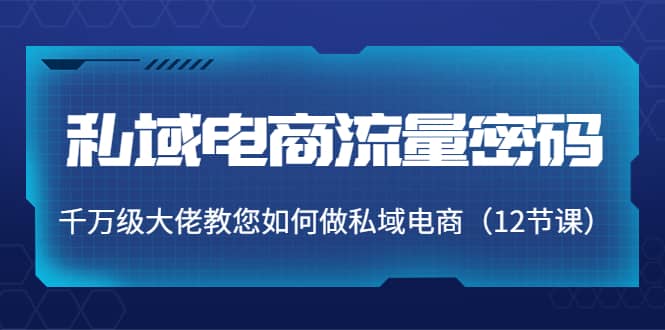 私域电商流量密码：千万级大佬教您如何做私域电商（12节课）-智宝网创