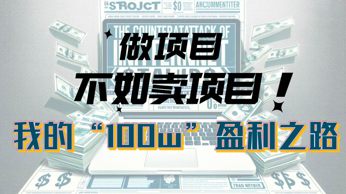 为什么做项目不如卖项目？我的100W+盈利之路-智宝网创