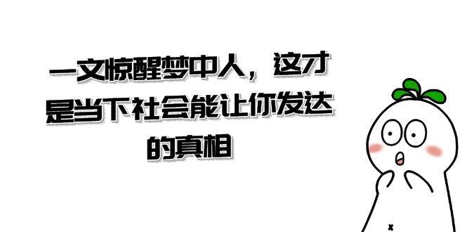 某公众号付费文章《一文 惊醒梦中人，这才是当下社会能让你发达的真相》-智宝网创