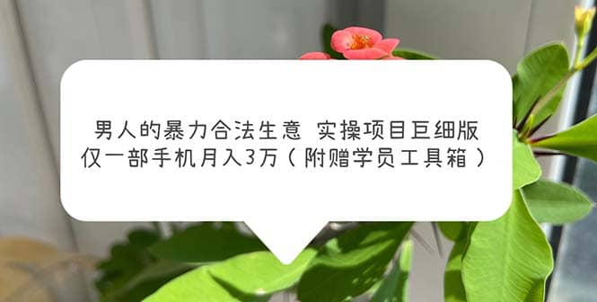 男人的暴力合法生意实操项目巨细版：仅一部手机月入3w（附赠学员工具箱）-智宝网创