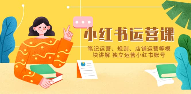 小红书·运营课，笔记运营、规则、店铺运营等模块讲解 独立运营小红书账号-智宝网创