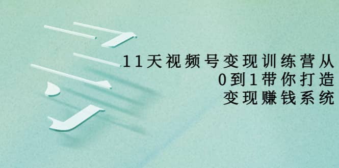 好望角·11天视频号变现训练营，从0到1打造变现赚钱系统（价值398）-智宝网创