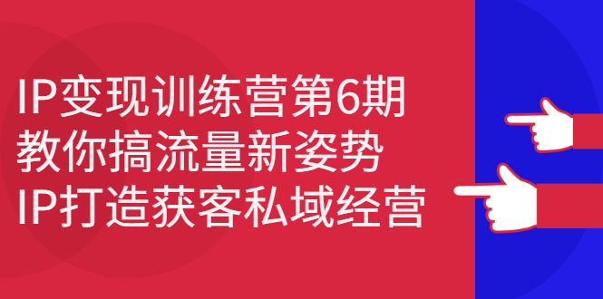 IP变现训练营第6期：教你搞流量新姿势，IP打造获客私域经营-智宝网创