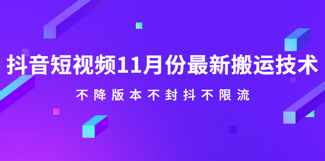 抖音短视频11月份最新搬运技术，不降版本不封抖不限流！【视频课程】-智宝网创