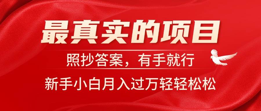 最真实的项目，照抄答案，有手就行，新手小白月入过万轻轻松松-智宝网创