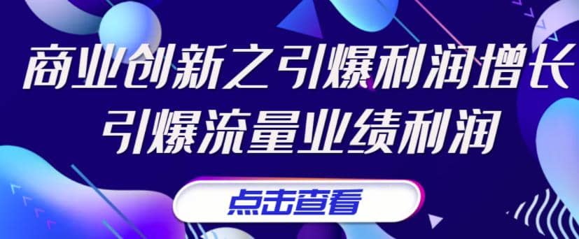《商业创新之引爆利润增长》引爆流量业绩利润-智宝网创