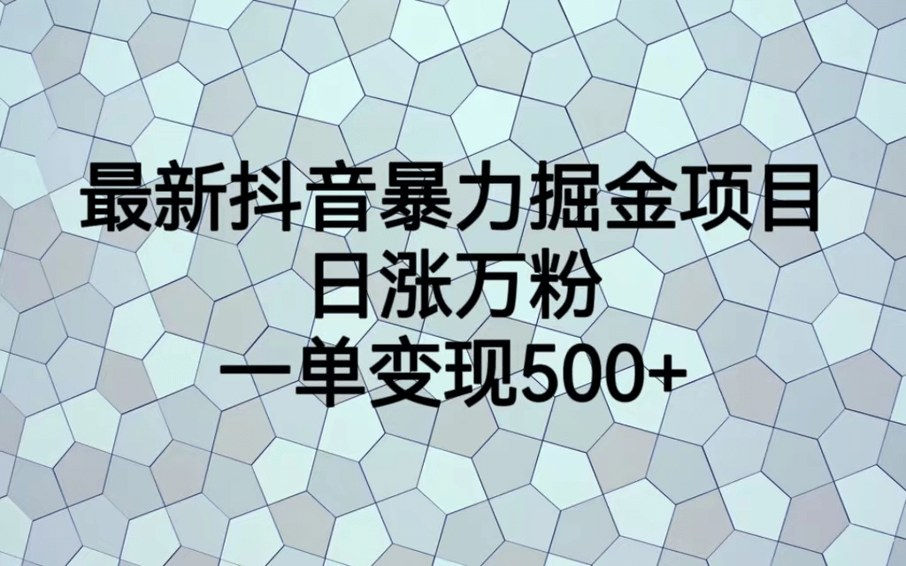 最火热的抖音暴力掘金项目，日涨万粉，多种变现方式，一单变现可达500+-智宝网创