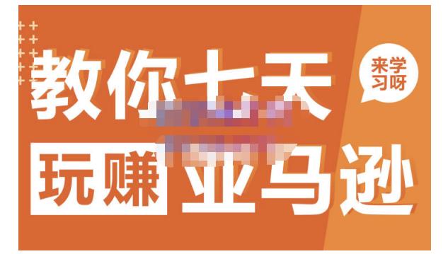 晟尧跨境·教你七天玩赚亚马逊，教你轻松玩赚亚马逊，适合小白学习-智宝网创