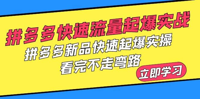 拼多多-快速流量起爆实战，拼多多新品快速起爆实操，看完不走弯路-智宝网创