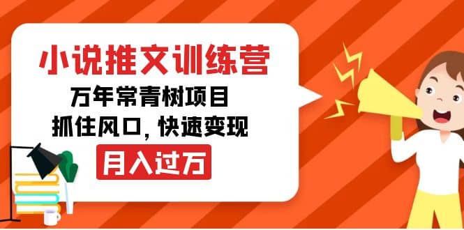 小说推文训练营，万年常青树项目，抓住风口-智宝网创
