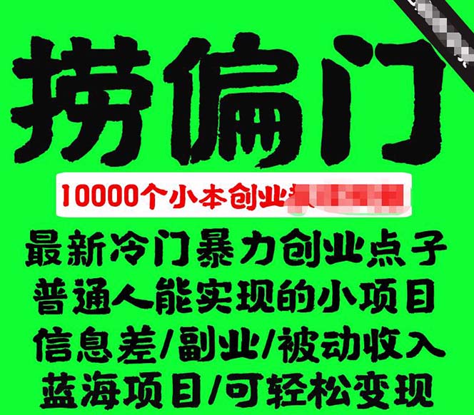 .千款捞偏门小本创业小项目，总有一款适合你【无水印】-智宝网创
