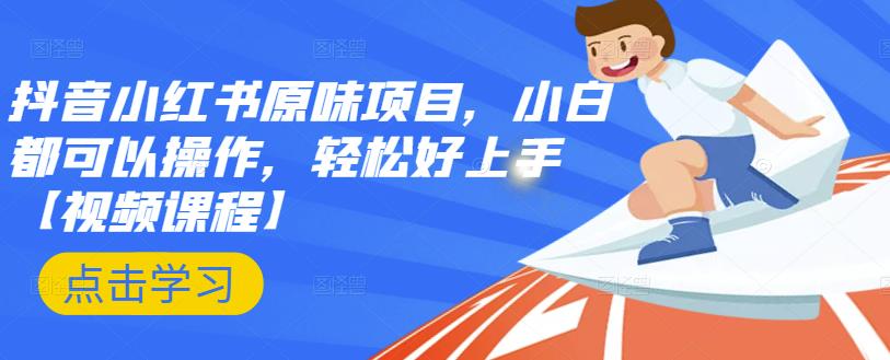 抖音小红书原味项目，小白都可以操作，轻松好上手【视频课程】-智宝网创