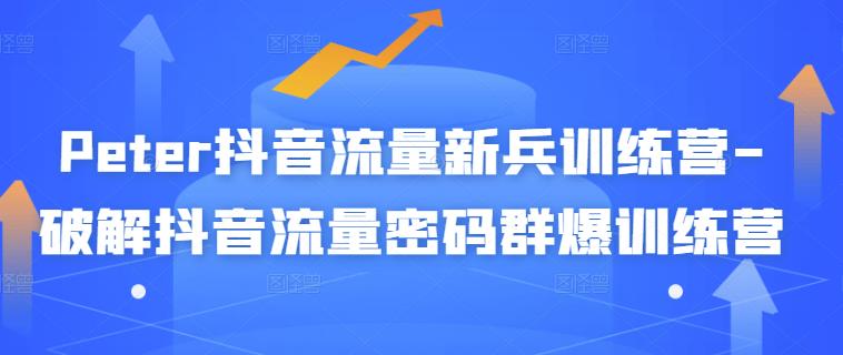 Peter抖音流量新兵训练营-破解抖音流量密码群爆训练营（新兵）-智宝网创