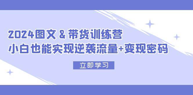 2024 图文+带货训练营，小白也能实现逆袭流量+变现密码-智宝网创
