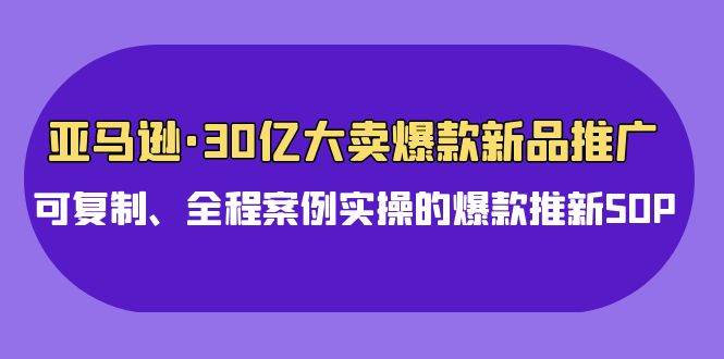 亚马逊30亿·大卖爆款新品推广，可复制、全程案例实操的爆款推新SOP-智宝网创