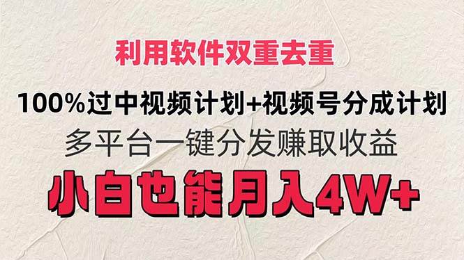 利用软件双重去重，100%过中视频+视频号分成计划小白也可以月入4W+-智宝网创