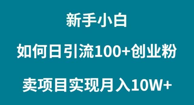 新手小白如何通过卖项目实现月入10W+-智宝网创