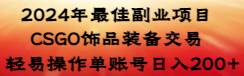 2024年最佳副业项目 CSGO饰品装备交易 轻易操作单账号日入200+-智宝网创