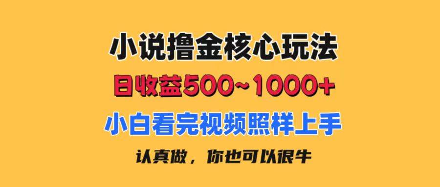 小说撸金核心玩法，日收益500-1000+，小白看完照样上手，0成本有手就行-智宝网创