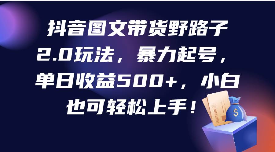 抖音图文带货野路子2.0玩法，暴力起号，单日收益500+，小白也可轻松上手！-智宝网创