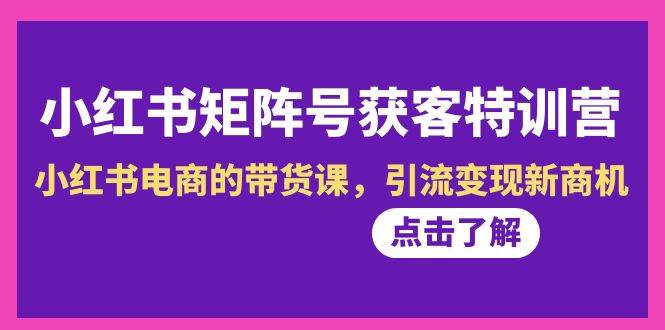小红书-矩阵号获客特训营-第10期，小红书电商的带货课，引流变现新商机-智宝网创