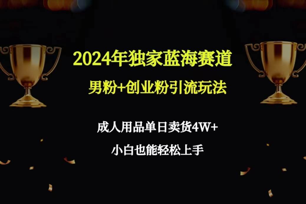 2024年独家蓝海赛道男粉+创业粉引流玩法，成人用品单日卖货4W+保姆教程-智宝网创
