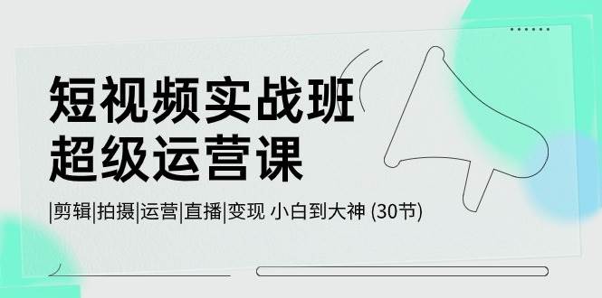 短视频实战班-超级运营课，|剪辑|拍摄|运营|直播|变现 小白到大神 (30节)-智宝网创