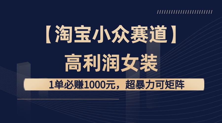 【淘宝小众赛道】高利润女装：1单必赚1000元，超暴力可矩阵-智宝网创