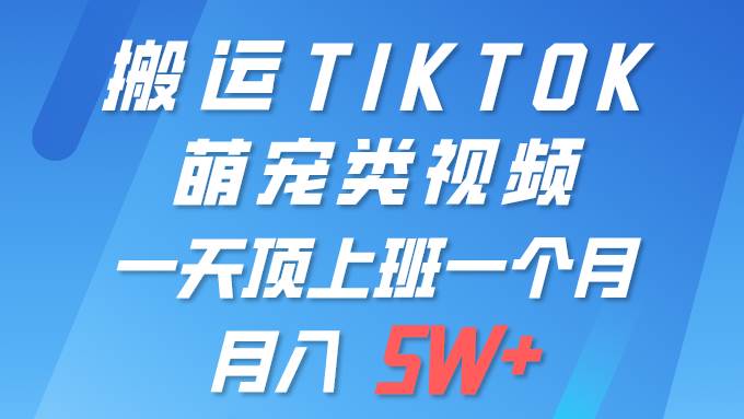 一键搬运TIKTOK萌宠类视频 一部手机即可操作 所有平台均可发布 轻松月入5W+-智宝网创