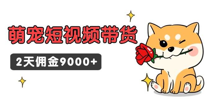 东哲日记·萌宠短视频带货，2天佣金9000+-智宝网创