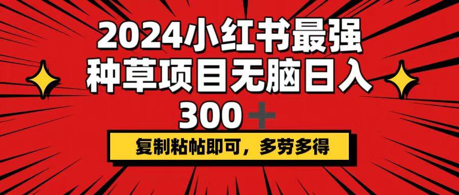2024小红书最强种草项目，无脑日入300+，复制粘帖即可，多劳多得-智宝网创
