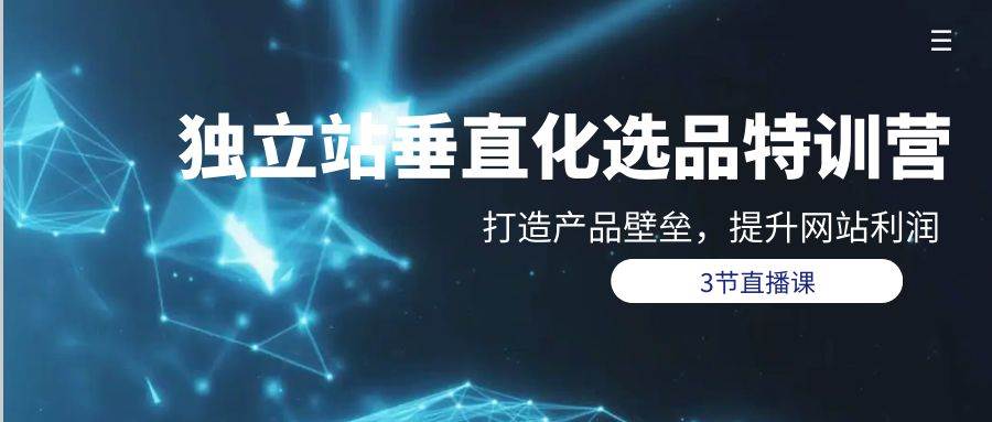 独立站-垂直化选品训练营，打造产品壁垒，提升网站利润（3节直播课）-智宝网创