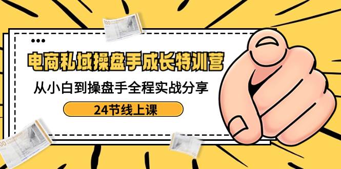 电商私域-操盘手成长特训营：从小白到操盘手全程实战分享-24节线上课-智宝网创