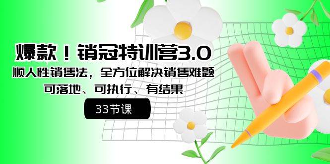 爆款！销冠特训营3.0之顺人性销售法，全方位解决销售难题、可落地、可执行、有结果-智宝网创