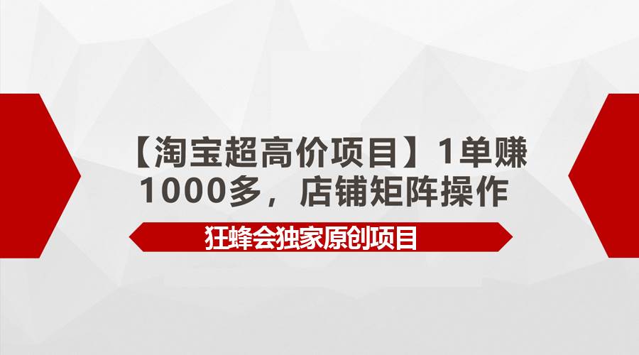 【淘宝超高价项目】1单赚1000多，店铺矩阵操作-智宝网创