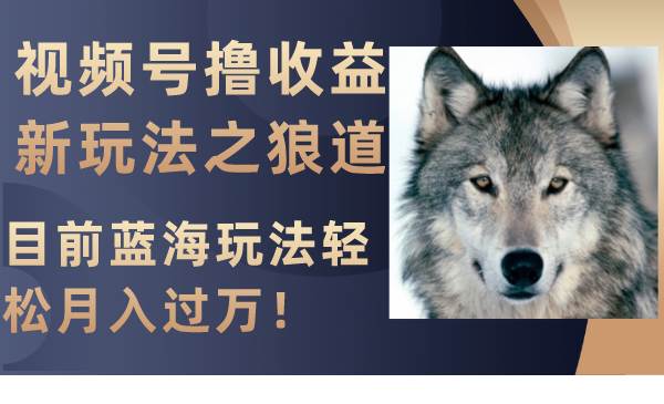 视频号撸收益新玩法之狼道，目前蓝海玩法轻松月入过万！-智宝网创