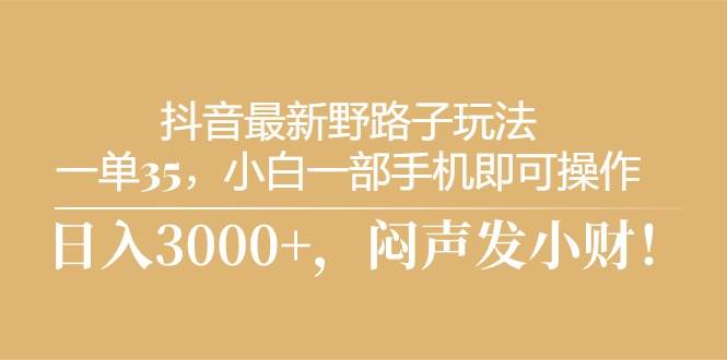 抖音最新野路子玩法，一单35，小白一部手机即可操作，，日入3000+，闷…-智宝网创