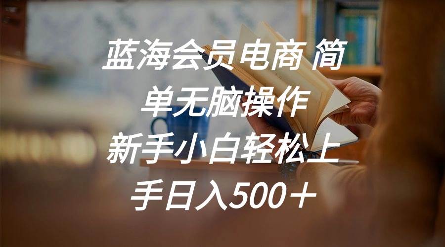 蓝海会员电商 简单无脑操作 新手小白轻松上手日入500＋-智宝网创