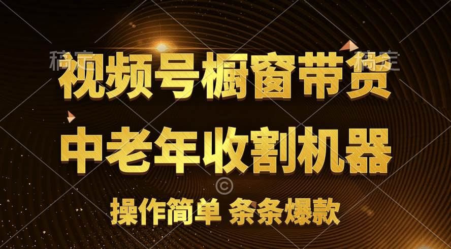 [你的孩子成功取得高位]视频号最火爆赛道，橱窗带货，流量分成计划，条…-智宝网创